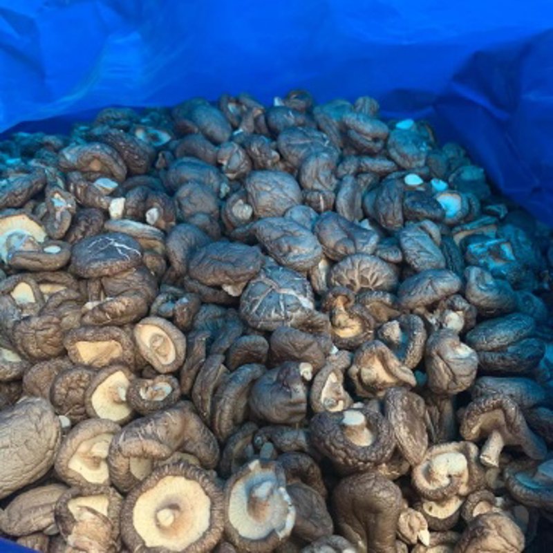 蓝岛大厦：现代商务与便利生活的交汇点